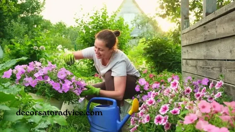 Choose the Right Plants for Your Climate