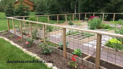 Vegetable Garden Fence Ideas for Every Backyard
